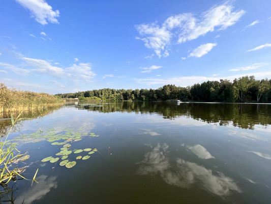Продам участок 17 соток, ИЖС, Тишково д, 0 км от города