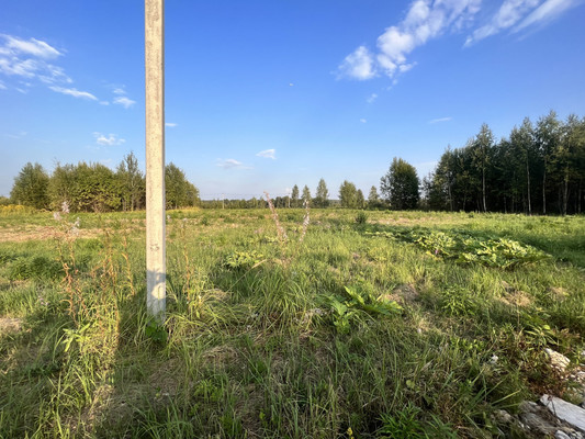 Продам участок 15 соток, ИЖС, Тишково д, 0 км от города