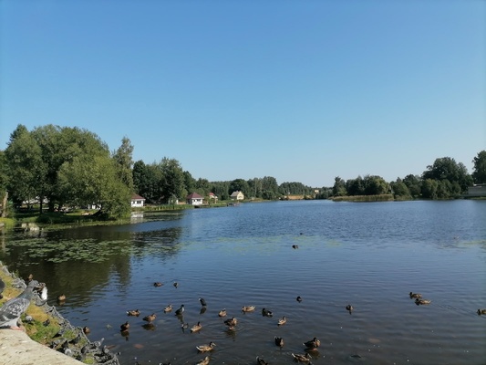 Продам однокомнатную (1-комн.) квартиру, Быкова ул, 19а, Павлово с