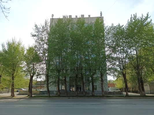 Сдам офисное помещение 20 м2, Гагарина ул, 8, Екатеринбург г