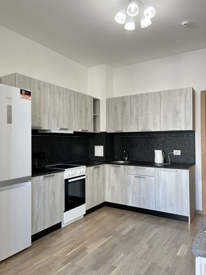 Сдам двухкомнатную (2-комн.) квартиру, Дыбенко ул, 2, Санкт-Петербург г