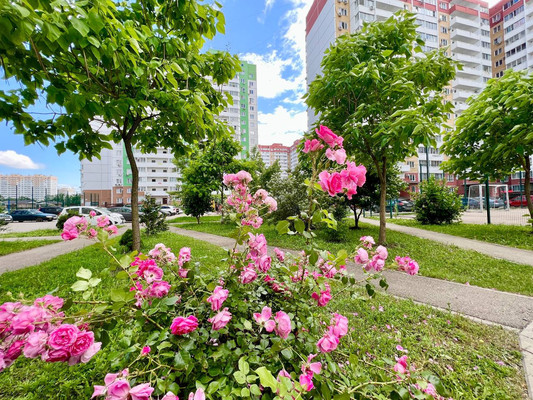 Продам двухкомнатную (2-комн.) квартиру, Черкасская ул, 62/1, Краснодар г