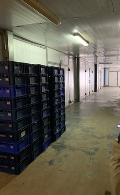 Продам землю для коммерческого использования 1 300 соток, 50 лет СССР ул, 73, Россошь г