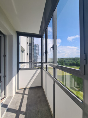 Сдам однокомнатную (1-комн.) квартиру, Реки Каменки наб, 17к2, Санкт-Петербург г