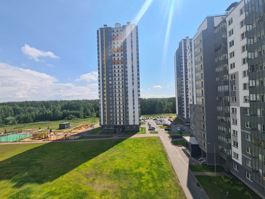 Сдам однокомнатную (1-комн.) квартиру, Реки Каменки наб, 17к2, Санкт-Петербург г