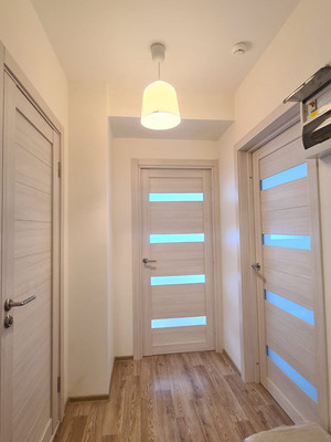 Сдам однокомнатную (1-комн.) квартиру, Реки Каменки наб, 17к2, Санкт-Петербург г