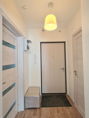 Сдам однокомнатную (1-комн.) квартиру, Реки Каменки наб, 17к2, Санкт-Петербург г