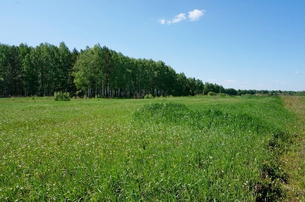 Продам участок 15 соток, ИЖС, Сукромна снт, 2a, Сукромна д, 0 км от города