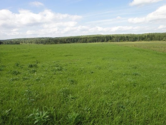 Продам участок 86 соток, Сотино с, 0 км от города