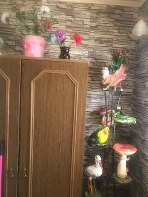 Продам дом, Надежда снт, Иньшино д, 0 км от города