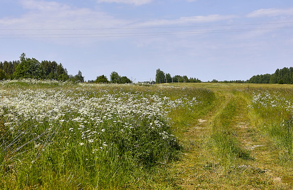 Продам дом, Луговая ул, 14, Васильево д, 0 км от города