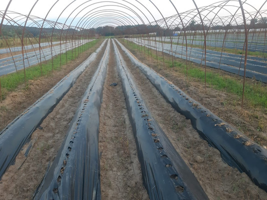 Продам землю для коммерческого использования 10 соток, Фермерское хоз., Мира ул, Ерик п