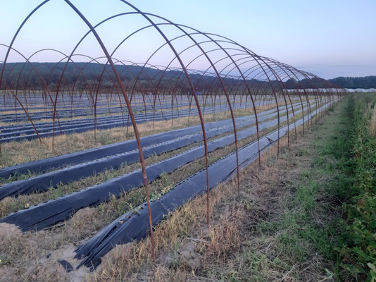 Продам землю для коммерческого использования 10 соток, Фермерское хоз., Мира ул, Ерик п