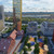 Продам однокомнатную (1-комн.) квартиру (долевое), Шеногина ул, 2к1, Москва г