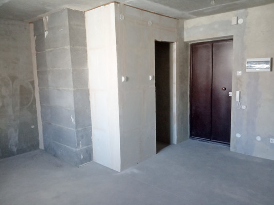 Продам однокомнатную (1-комн.) квартиру, Новосибирская ул, 61д, Воронеж г