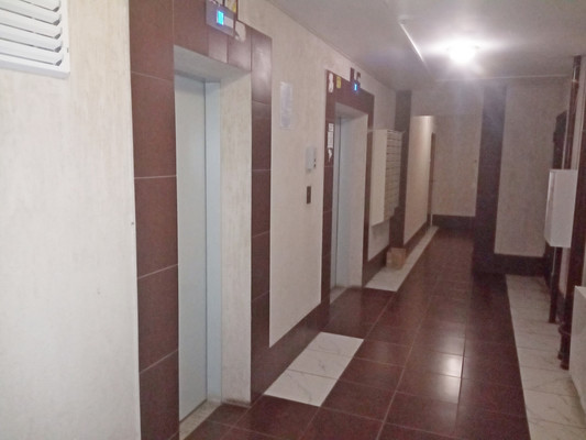 Продам однокомнатную (1-комн.) квартиру, Новосибирская ул, 61д, Воронеж г