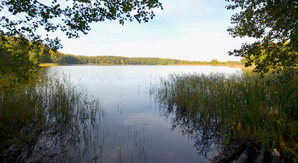 Продам дом, Любимая ул, Цибино д, 0 км от города