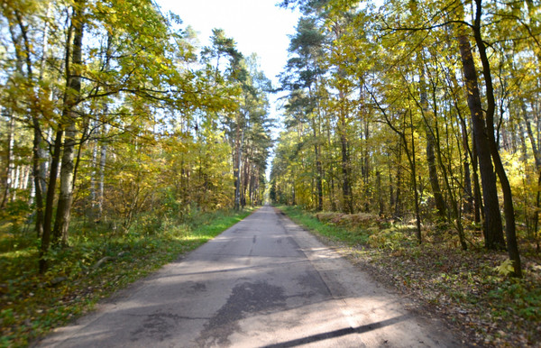 Продам дом, Любимая ул, Цибино д, 0 км от города