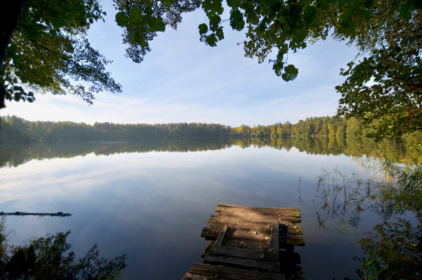 Продам дом, Любимая ул, Цибино д, 0 км от города