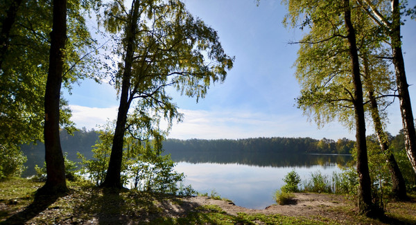 Продам дом, Любимая ул, Цибино д, 0 км от города