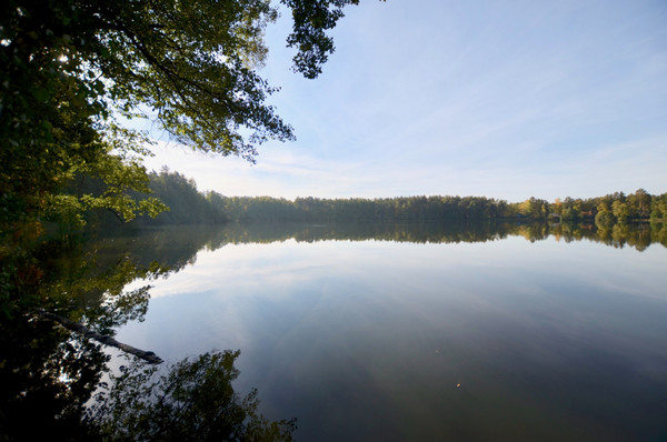Продам дом, Любимая ул, Цибино д, 0 км от города