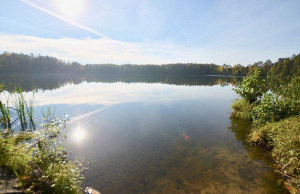Продам дом, Любимая ул, Цибино д, 0 км от города