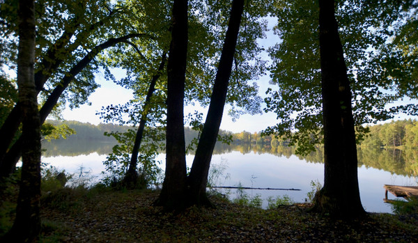 Продам дом, Любимая ул, Цибино д, 0 км от города