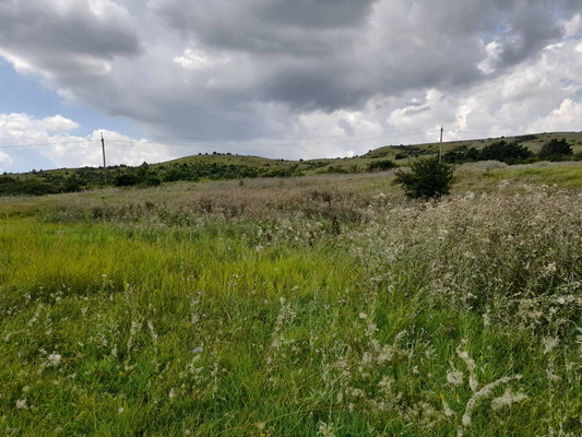 Продам участок 15 соток, ИЖС, Московский пер, 12, Богатое с, 0 км от города