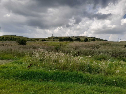 Продам участок 15 соток, ИЖС, Московский пер, 12, Богатое с, 0 км от города