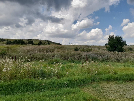 Продам участок 15 соток, ИЖС, Московский пер, 12, Богатое с, 0 км от города