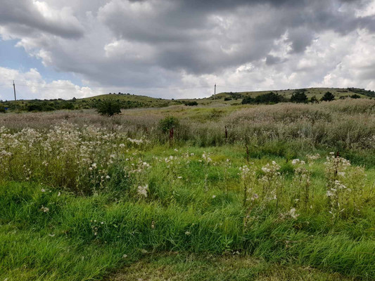 Продам участок 15 соток, ИЖС, Московский пер, 12, Богатое с, 0 км от города