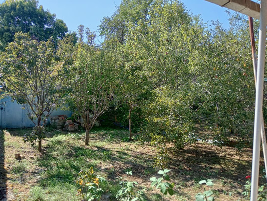 Продам дом, Беляева ул, 36, Апшеронск г, 0 км от города