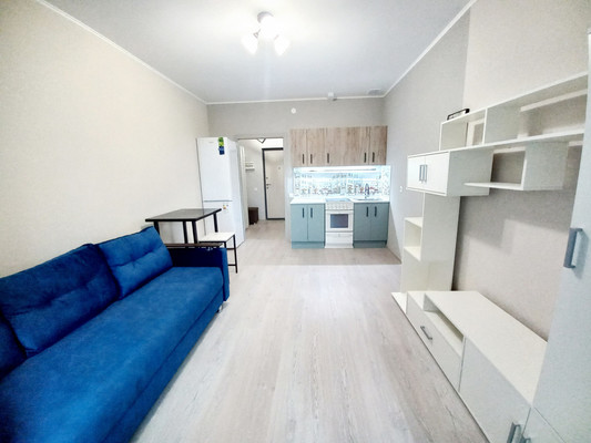 Сдам однокомнатную (1-комн.) квартиру, Русановская ул, 24к1, Санкт-Петербург г