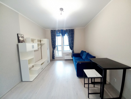 Сдам однокомнатную (1-комн.) квартиру, Русановская ул, 24к1, Санкт-Петербург г