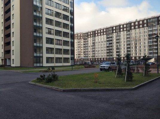 Сдам однокомнатную (1-комн.) квартиру, Ветеранов пр-кт, 173к1, Санкт-Петербург г
