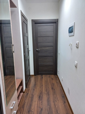 Сдам однокомнатную (1-комн.) квартиру, Ветеранов пр-кт, 173к1, Санкт-Петербург г