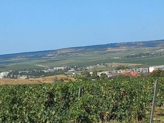 Продам участок 10 соток, Фермерское хоз., Хутор ул, Севастополь г, 0 км от города