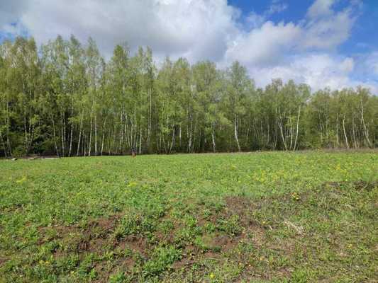 Продам участок 180 соток, СНТ, Скрипово д, 4 км от города