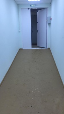 Продам коммерческое помещение 315,3 м2, 1 Мая ул, 8, Богородское пгт
