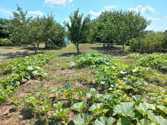 Продам дом, Цветочный пер, 4, Лозновская ст-ца, 0 км от города