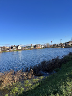 Продам торговое помещение 781,4 м2, Брагина ул, 33, Богородск г