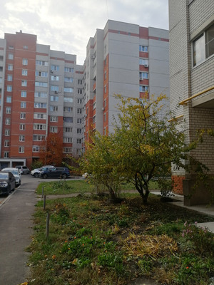 Продам двухкомнатную (2-комн.) квартиру, Урывского ул, 13, Воронеж г
