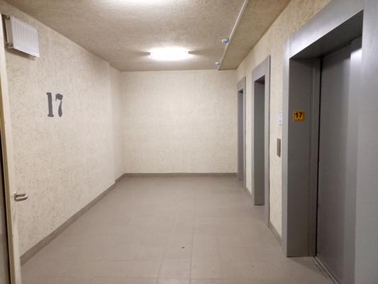 Сдам однокомнатную (1-комн.) квартиру, Бабушкина ул, 84к2, Санкт-Петербург г