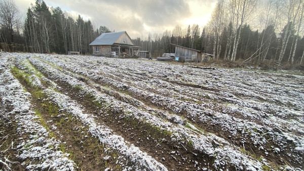 Продам участок 12,2 соток, Фермерское хоз., Граддор д, 0 км от города