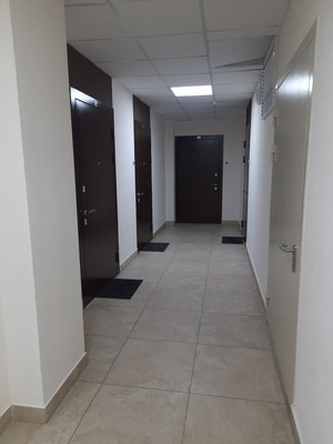 Сдам однокомнатную (1-комн.) квартиру, Ветеранов пр-кт, 171к4, Санкт-Петербург г