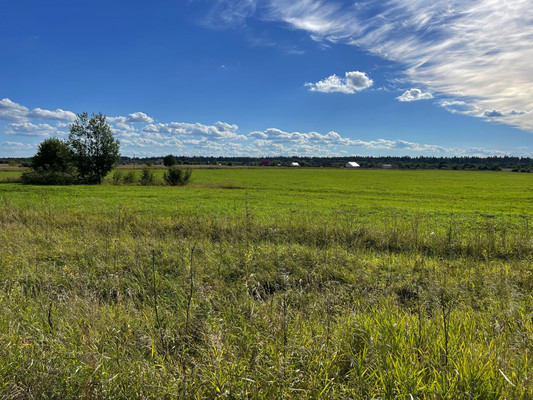 Продам землю для коммерческого использования 236 соток, Фермерское хоз., Орлино с