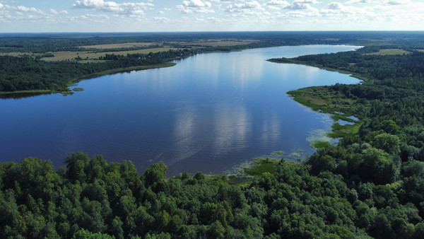 Продам землю для коммерческого использования 236 соток, Фермерское хоз., Орлино с