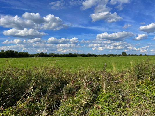 Продам землю для коммерческого использования 236 соток, Фермерское хоз., Орлино с