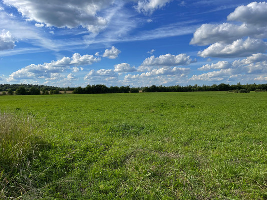 Продам землю для коммерческого использования 236 соток, Фермерское хоз., Орлино с