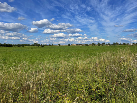 Продам землю для коммерческого использования 236 соток, Фермерское хоз., Орлино с